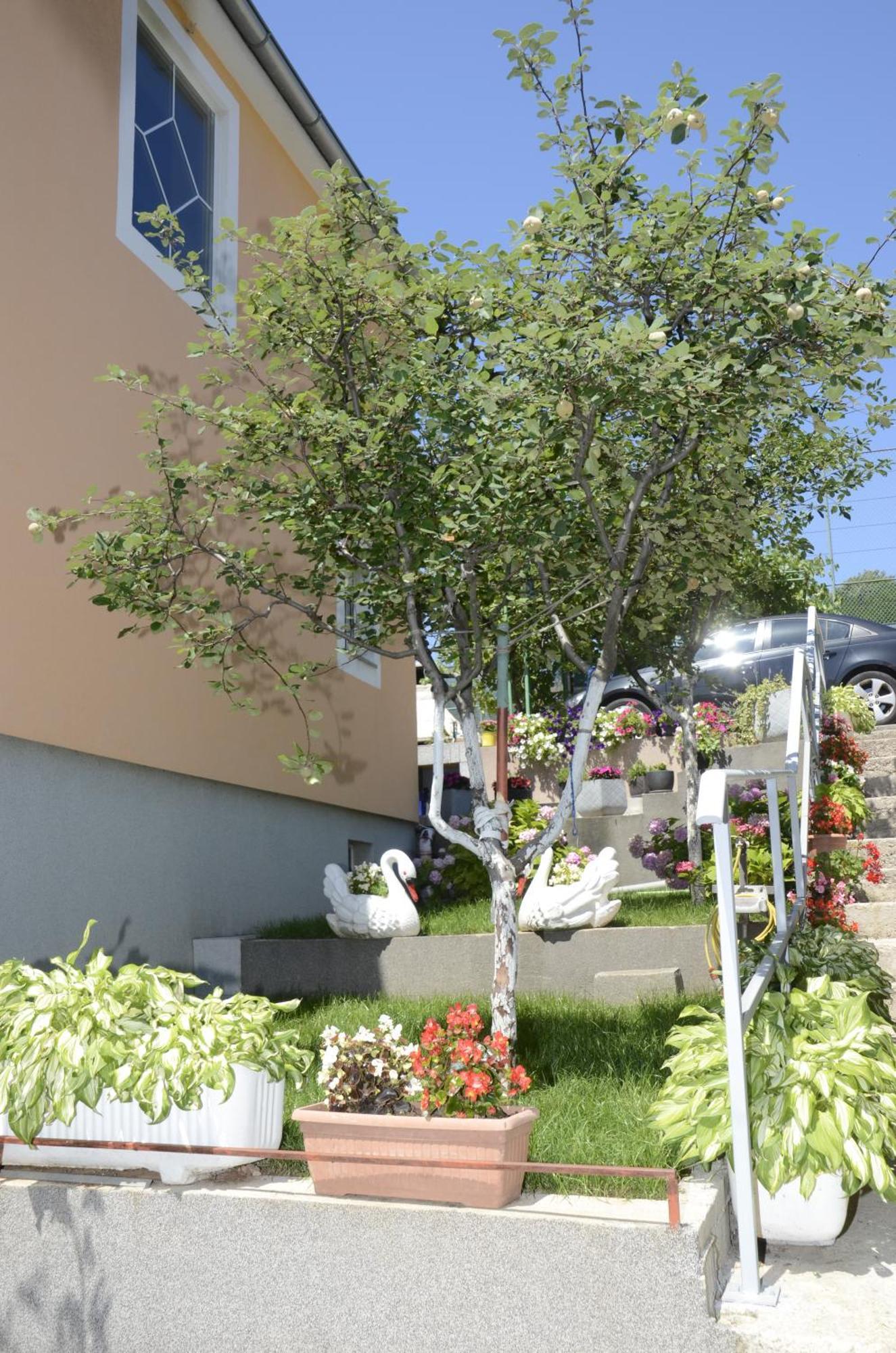 Apartments Lilly - Studio Fiume Kültér fotó