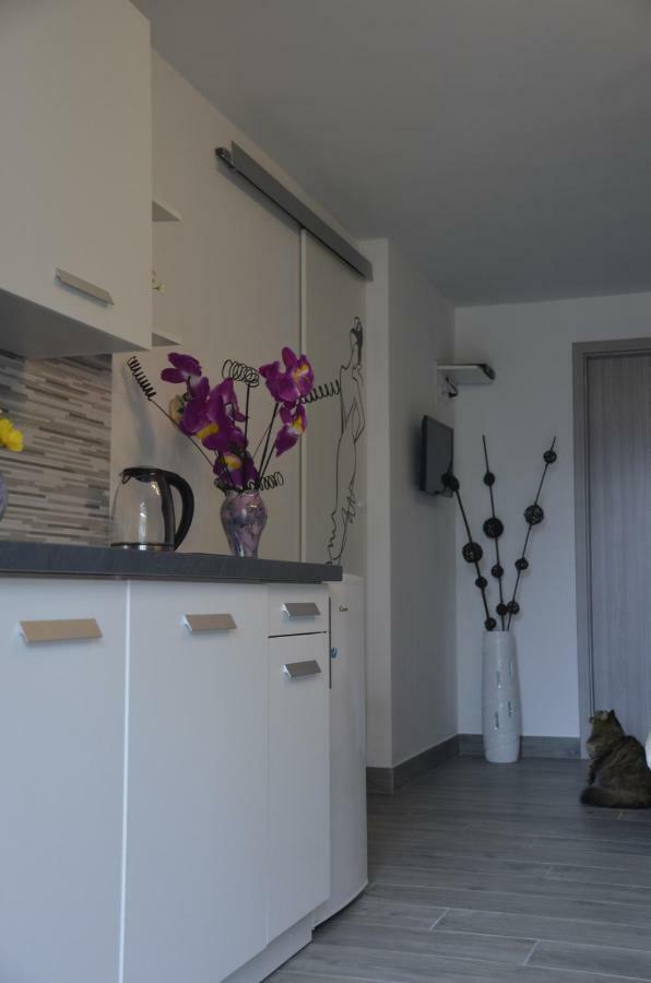 Apartments Lilly - Studio Fiume Kültér fotó